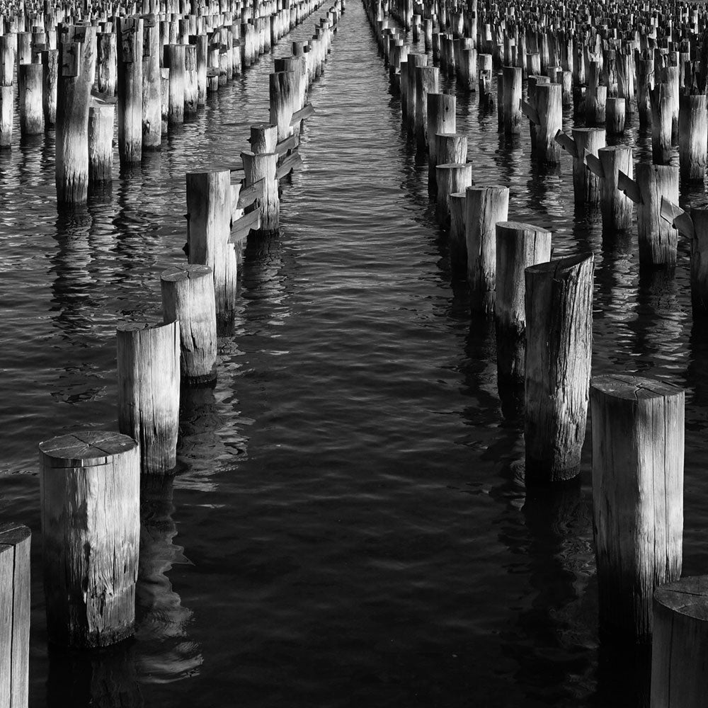 The Pier 5-6 - Melbourne.Monochrome