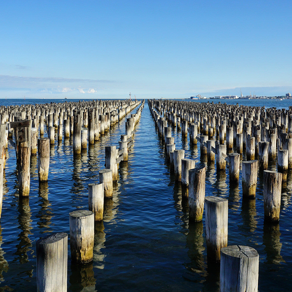 Princes Pier - Monocosm
