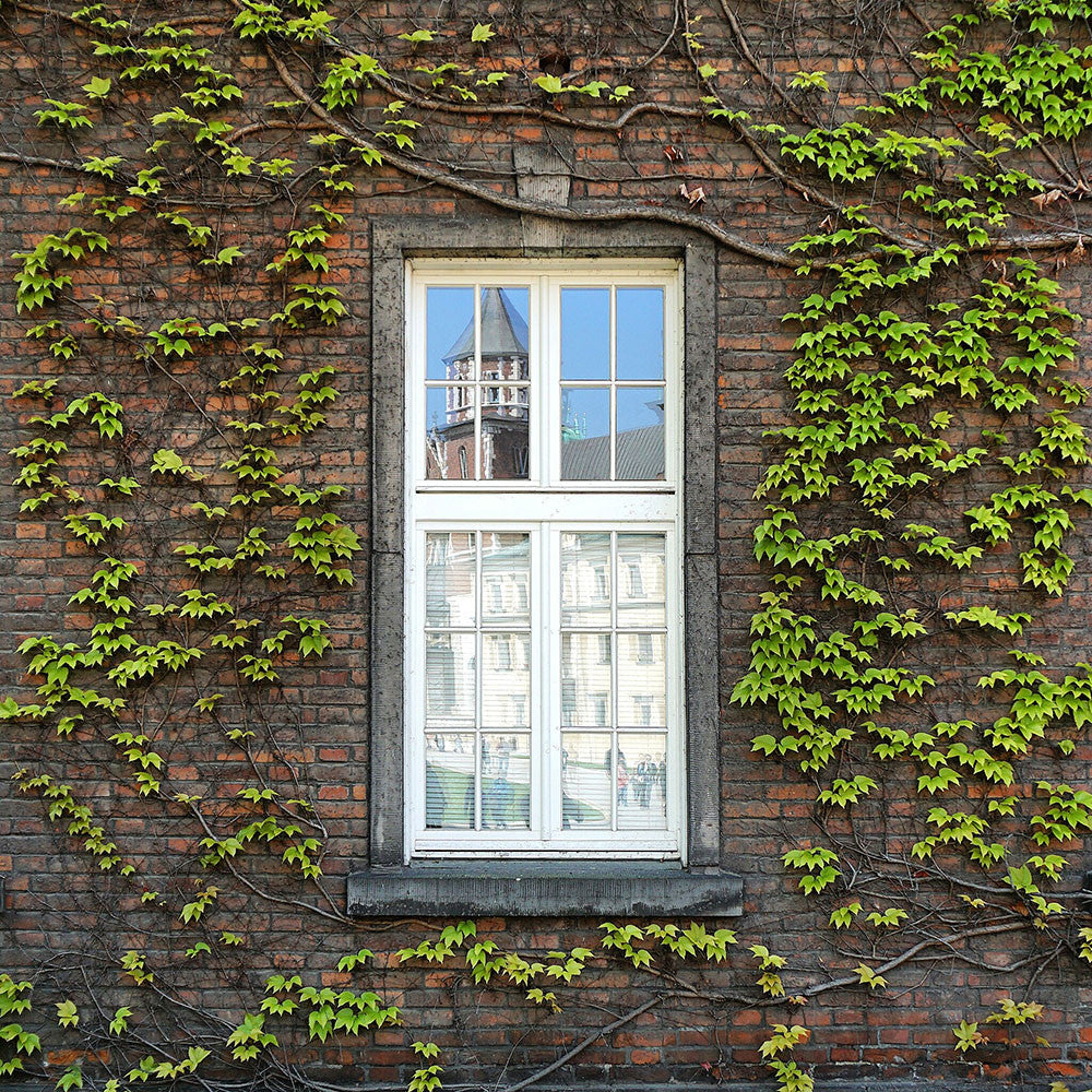 Reflections in Krakow - Monocosm