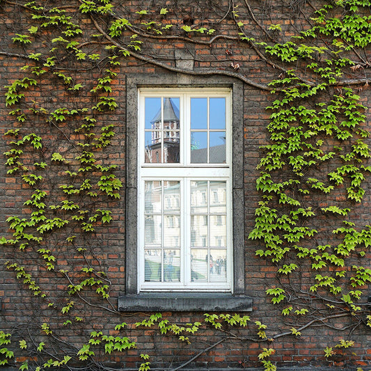 Reflections in Krakow - Monocosm