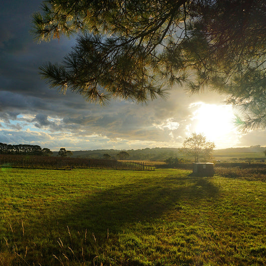 Balnarring Sunset - Monocosm